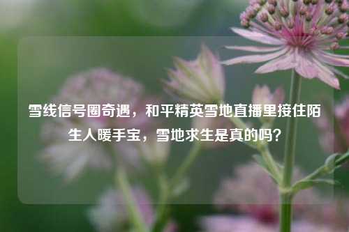 雪线信号圈奇遇,和平精英雪地直播里接住陌生人暖手宝,雪地求生是真的吗?