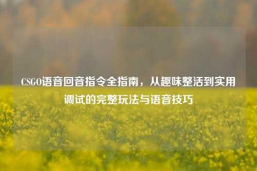 CSGO语音回音指令全指南,从趣味整活到实用调试的完整玩法与语音技巧