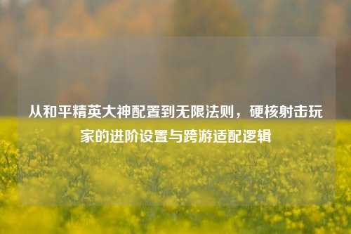 从和平精英大神配置到无限法则，硬核射击玩家的进阶设置与跨游适配逻辑
