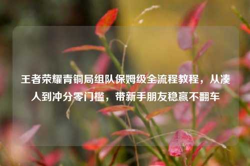 王者荣耀青铜局组队保姆级全流程教程，从凑人到冲分零门槛，带新手朋友稳赢不翻车