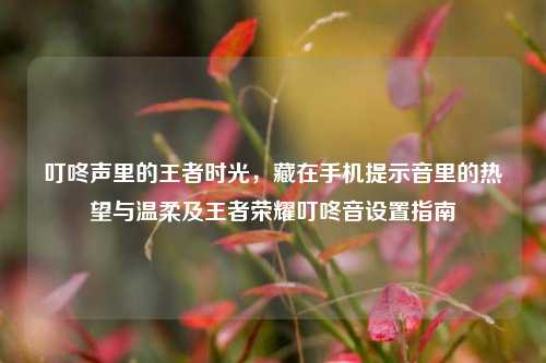 叮咚声里的王者时光，藏在手机提示音里的热望与温柔及王者荣耀叮咚音设置指南