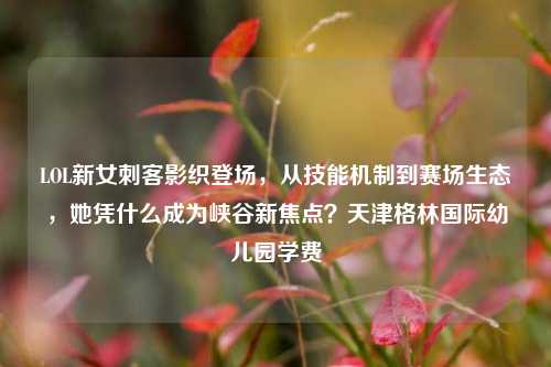 LOL新女刺客影织登场，从技能机制到赛场生态，她凭什么成为峡谷新焦点？天津格林国际幼儿园学费