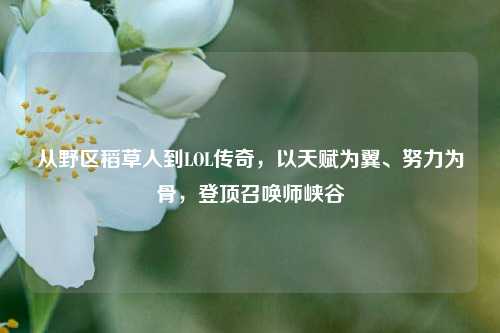 从野区稻草人到LOL传奇，以天赋为翼、努力为骨，登顶召唤师峡谷