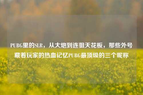 PUBG里的SLR，从大炮到连狙天花板，那些外号藏着玩家的热血记忆PUBG最顶级的三个昵称