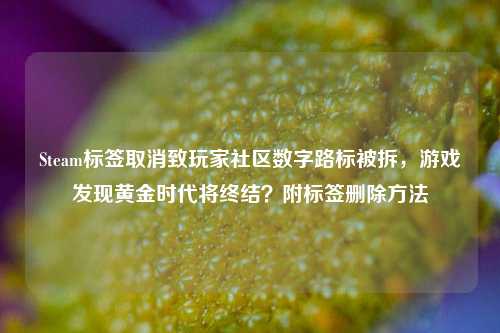 Steam标签取消致玩家社区数字路标被拆，游戏发现黄金时代将终结？附标签删除方法