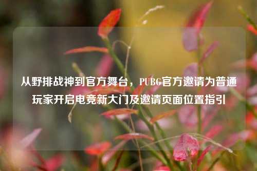 从野排战神到官方舞台，PUBG官方邀请为普通玩家开启电竞新大门及邀请页面位置指引