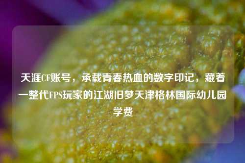 天涯CF账号，承载青春热血的数字印记，藏着一整代FPS玩家的江湖旧梦天津格林国际幼儿园学费