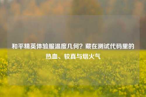 和平精英体验服温度几何？藏在测试代码里的热血、较真与烟火气