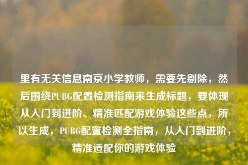 里有无关信息南京小学教师，需要先剔除，然后围绕PUBG配置检测指南来生成标题，要体现从入门到进阶、精准匹配游戏体验这些点，所以生成，PUBG配置检测全指南，从入门到进阶，精准适配你的游戏体验
