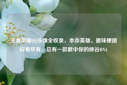 王者荣耀QQ头像全收录，本命英雄、趣味梗图应有尽有，总有一款戳中你的峡谷DNA