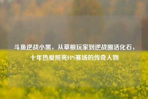 斗鱼逆战小黑，从草根玩家到逆战圈活化石，十年热爱照亮FPS赛场的传奇人物