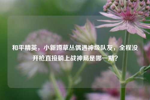 和平精英,小新蹲草丛偶遇神级队友,全程没开枪直接躺上战神局是哪一期?