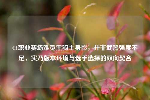 CF职业赛场难觅黑骑士身影，并非武器强度不足，实乃版本环境与选手选择的双向契合