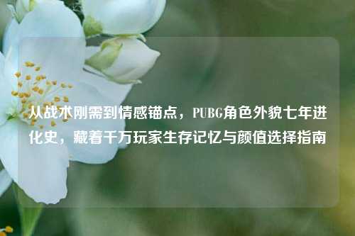 从战术刚需到情感锚点，PUBG角色外貌七年进化史，藏着千万玩家生存记忆与颜值选择指南