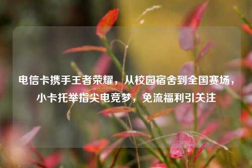 电信卡携手王者荣耀，从校园宿舍到全国赛场，小卡托举指尖电竞梦，免流福利引关注