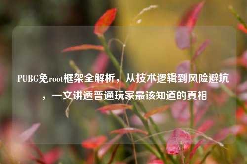PUBG免root框架全解析,从技术逻辑到风险避坑,一文讲透普通玩家最该知道的真相