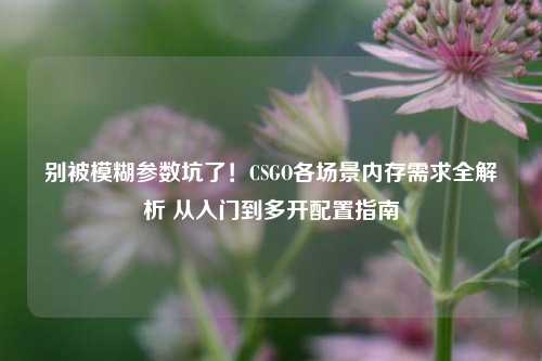 别被模糊参数坑了!CSGO各场景内存需求全解析 从入门到多开配置指南