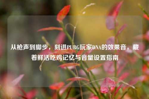 从枪声到脚步，刻进PUBG玩家DNA的效果音，藏着鲜活吃鸡记忆与音量设置指南