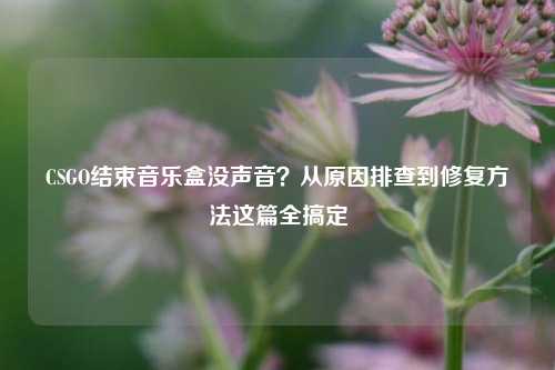 CSGO结束音乐盒没声音？从原因排查到修复方法这篇全搞定