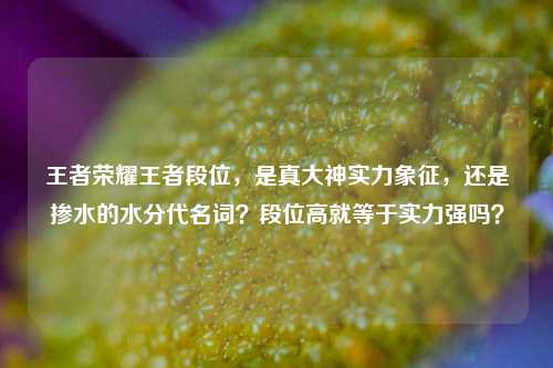 王者荣耀王者段位，是真大神实力象征，还是掺水的水分代名词？段位高就等于实力强吗？
