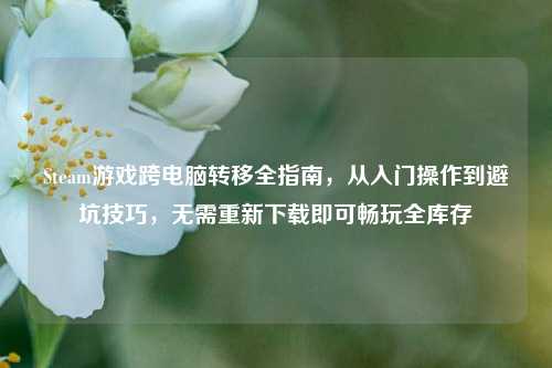 Steam游戏跨电脑转移全指南,从入门操作到避坑技巧,无需重新下载即可畅玩全库存