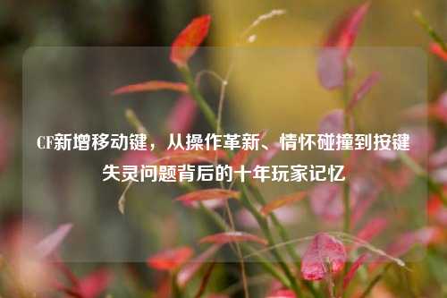 CF新增移动键，从操作革新、情怀碰撞到按键失灵问题背后的十年玩家记忆