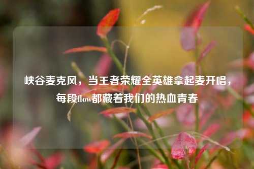 峡谷麦克风，当王者荣耀全英雄拿起麦开唱，每段flow都藏着我们的热血青春