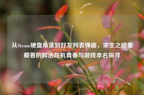 从Steam硬盘角落到好友列表弹窗，求生之路里藏着的鲜活联机青春与游戏本名探寻