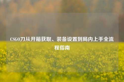 CSGO刀从开箱获取、装备设置到局内上手全流程指南