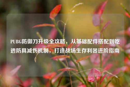 PUBG防御刀升级全攻略，从基础配件搭配到吃透防具减伤机制，打造战场生存利器进阶指南