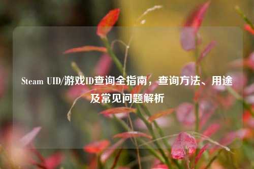 Steam UID/游戏ID查询全指南，查询方法、用途及常见问题解析