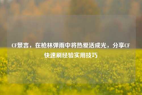 CF景言，在枪林弹雨中将热爱活成光，分享CF快速刷经验实用技巧