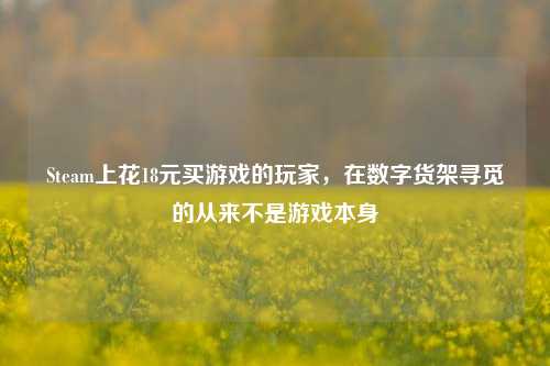 Steam上花18元买游戏的玩家，在数字货架寻觅的从来不是游戏本身