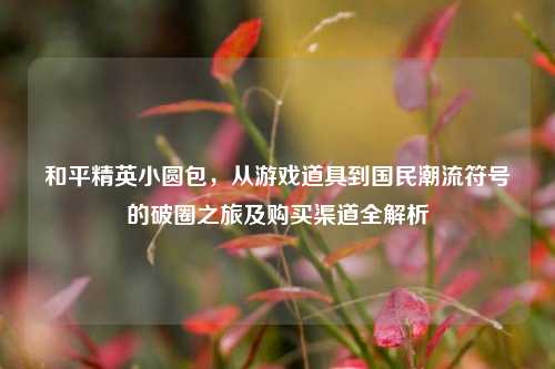 和平精英小圆包，从游戏道具到国民潮流符号的破圈之旅及购买渠道全解析