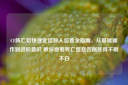 CF阵亡后快速定位敌人位置全指南，从基础操作到进阶意识 教你查看死亡信息告别死得不明不白
