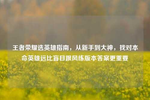 王者荣耀选英雄指南，从新手到大神，找对本命英雄远比盲目跟风练版本答案更重要