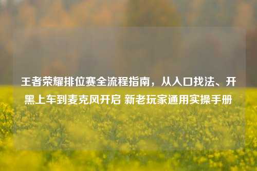 王者荣耀排位赛全流程指南，从入口找法、开黑上车到麦克风开启 新老玩家通用实操手册