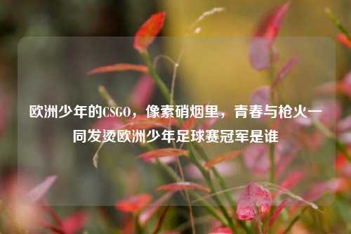 欧洲少年的CSGO，像素硝烟里，青春与枪火一同发烫欧洲少年足球赛冠军是谁