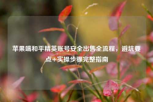 苹果端和平精英账号安全出售全流程，避坑要点+实操步骤完整指南