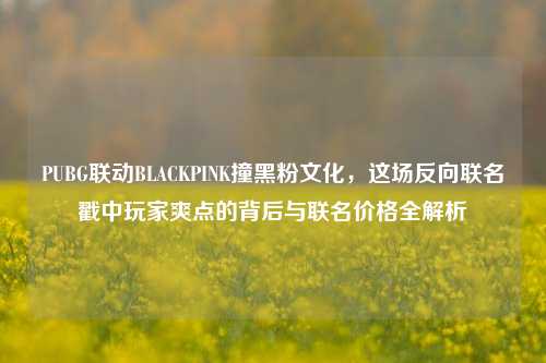 PUBG联动BLACKPINK撞黑粉文化，这场反向联名戳中玩家爽点的背后与联名价格全解析