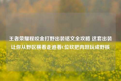 王者荣耀程咬金打野出装铭文全攻略 这套出装让你从野区横着走追着C位砍把肉坦玩成野核