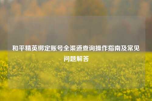 和平精英绑定账号全渠道查询操作指南及常见问题解答
