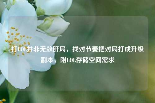 打LOL并非无效肝局，找对节奏把对局打成升级副本，附LOL存储空间需求