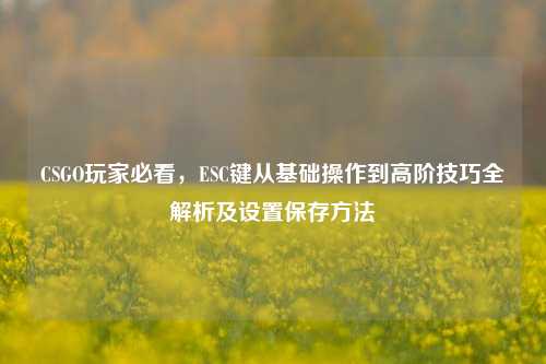 CSGO玩家必看，ESC键从基础操作到高阶技巧全解析及设置保存方法
