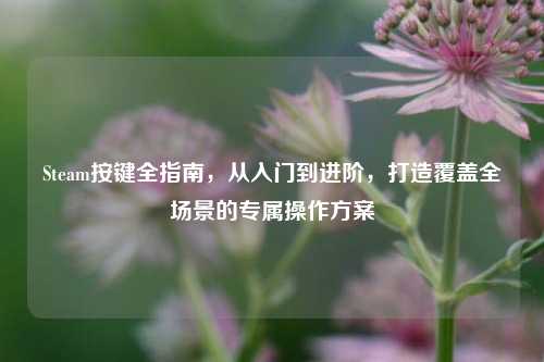 Steam按键全指南，从入门到进阶，打造覆盖全场景的专属操作方案