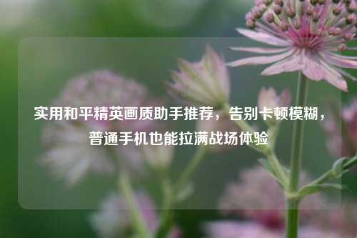 实用和平精英画质助手推荐，告别卡顿模糊，普通手机也能拉满战场体验