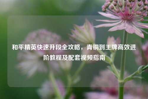 和平精英快速升段全攻略，青铜到王牌高效进阶教程及配套视频指南