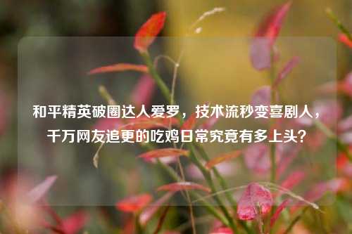 和平精英破圈达人爱罗，技术流秒变喜剧人，千万网友追更的吃鸡日常究竟有多上头？