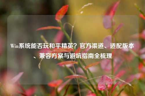 Win系统能否玩和平精英？官方渠道、适配版本、兼容方案与避坑指南全梳理