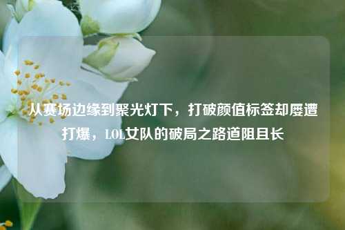 从赛场边缘到聚光灯下，打破颜值标签却屡遭打爆，LOL女队的破局之路道阻且长